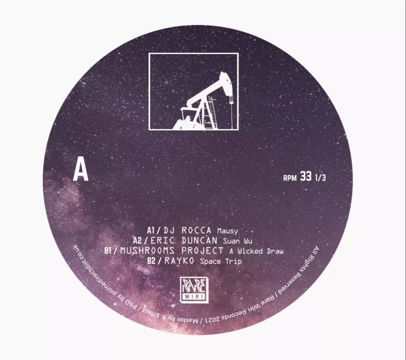 Dj Rocca / Eric Duncan / Mushrooms Project / Rayko - Rare Wiri 100th [Rare Wiri Records]