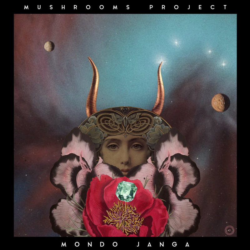 Mushrooms Project - Mondo Janga EP [Random Collective Records]