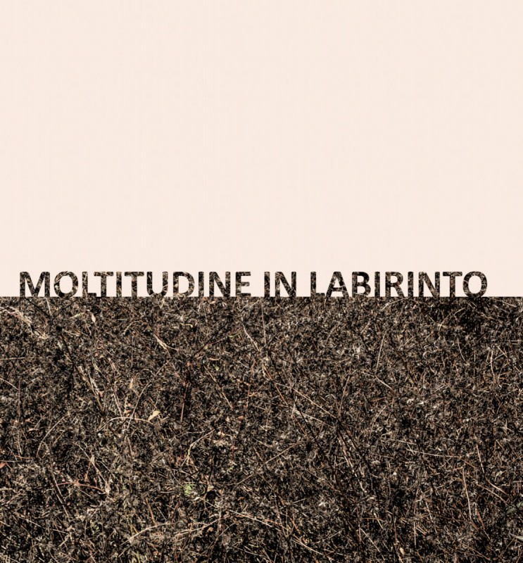 Gigi Masin / Giuseppe Caprioli - Moltitudine In Labirinto (reissue) [13 Silentes]