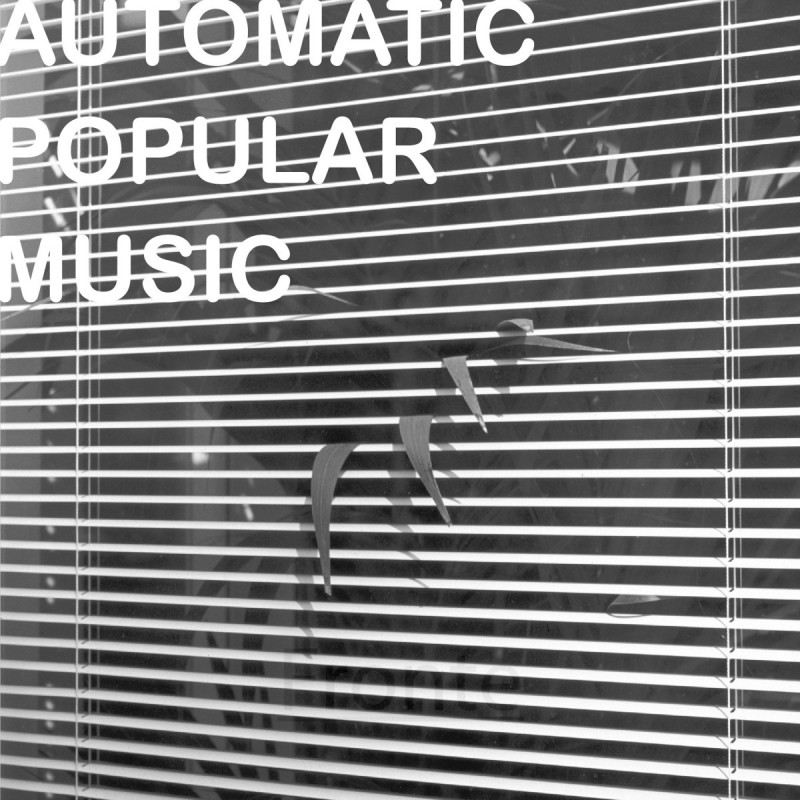 Nicola Ratti - Automatic Popular Music [LL Edizioni]